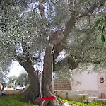 Bed & Breakfast Nonna Maria 4*