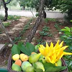 Bed & Breakfast Nonna Maria Castellana Grotte